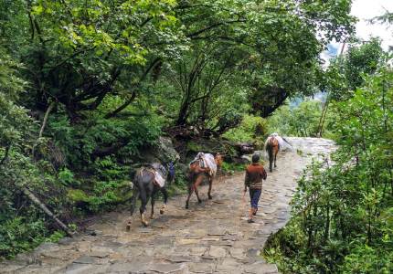 Holy Hemkunt sahib Journey