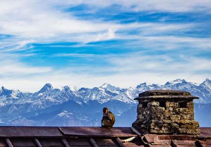 Amritsar Himachal Tour Package