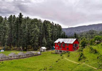Vaishno Devi Blessings Tour