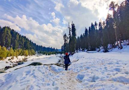 Gulmarg Winter Trip from Chandigarh