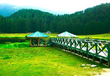 Dalhousie Wildlife & Nature Trip