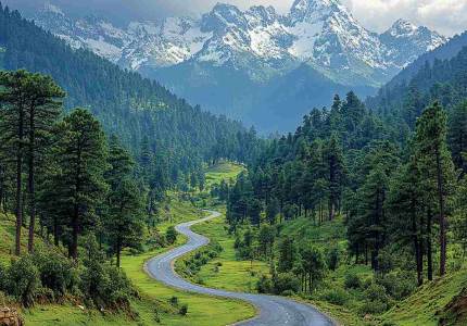 Dalhousie Wildlife & Nature Trip