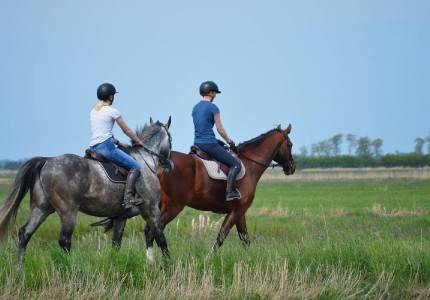 Amritsar Himachal Tour Package