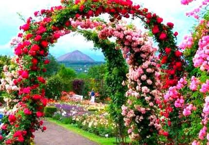 Amritsar – Chandigarh – Shimla Hill Escape