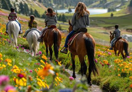 Srinagar Gulmarg Sonmarg Pahalgam 7 Days