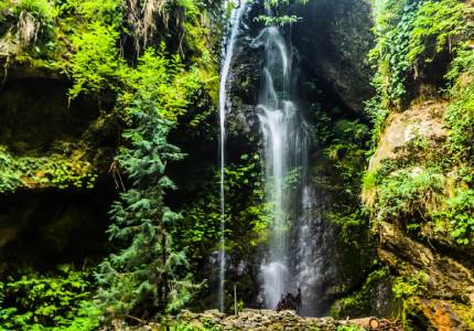 Amritsar – Dalhousie – Dharamshala Tour Package