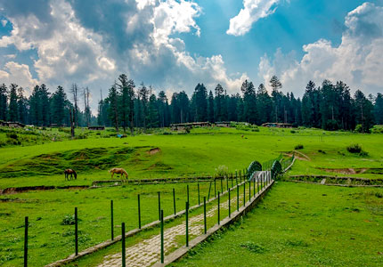 Srinagar Sonmarg Pahalgam Gulmarg 7 Days Tour