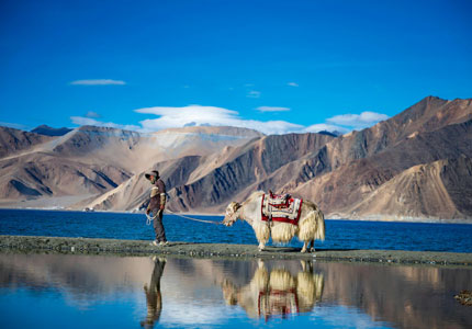 Ladakh by Road: Chandigarh to Leh Adventure
