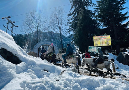 Himachal Package Amritsar Dharamshala Manali