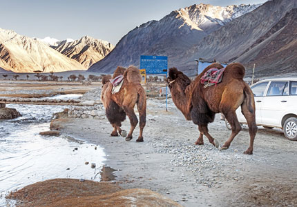 Nubra Valley Journey From Chandigarh