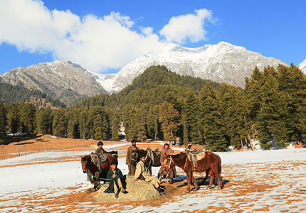 Srinagar Gulmarg Pahalgam Trip from Chandigarh
