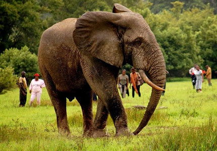 Dalhousie Wildlife & Nature Trip